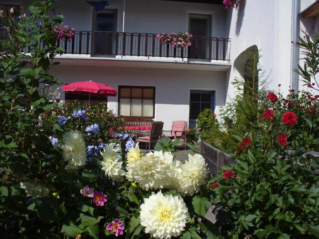 Mitschighof - Apartments Und Pension - Heidis-Welt, Mitschig Hermagor-Pressegger See Exterior photo