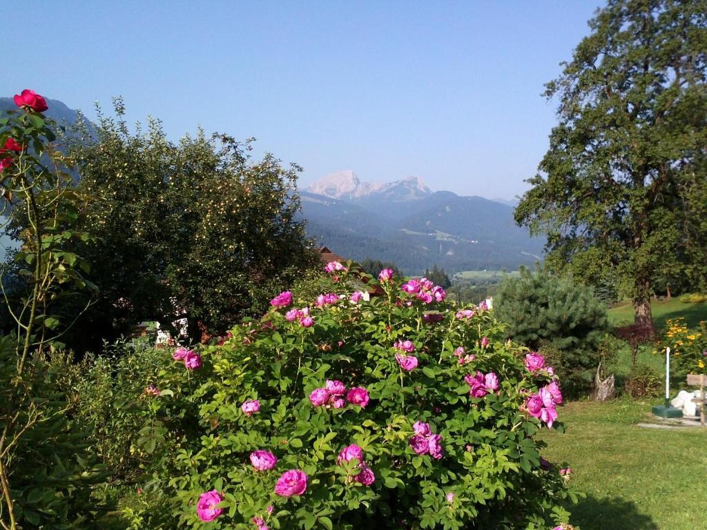 Mitschighof - Apartments Und Pension - Heidis-Welt, Mitschig Hermagor-Pressegger See Exterior photo